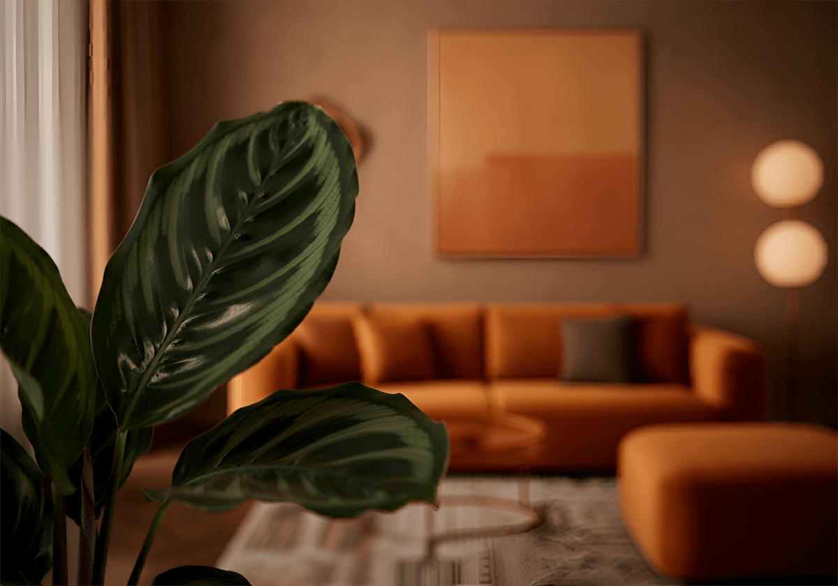 Calathea Orbifolia
