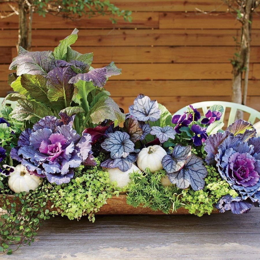 Cottage charmer fall planter idea