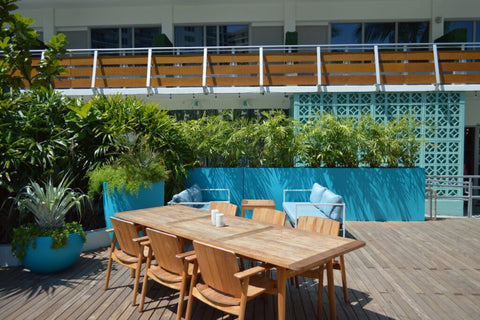 Secluded Serenity: Elevate Your Haven with Tall Privacy Planters 2 DSC 0088 1