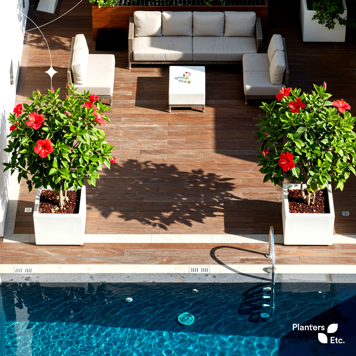 Two vibrant hibiscus trees in modern white planters frame a luxurious poolside patio, adding a burst of tropical red blooms to the elegant wooden deck and neutral-toned lounge seating. Branded with the Planters Etc. logo.