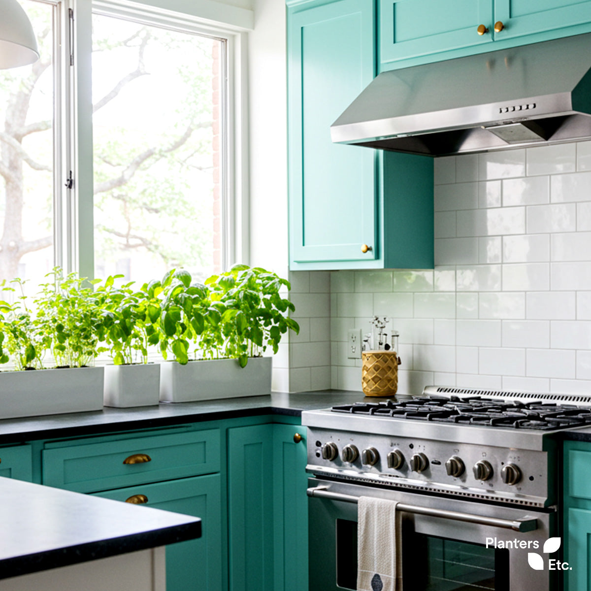 A sunny kitchen corner features rows of vibrant basil growing in sleek white rectangular planters on the countertop, perfectly positioned by the window for natural light—adding a fresh, functional touch to the teal cabinetry and modern appliances.