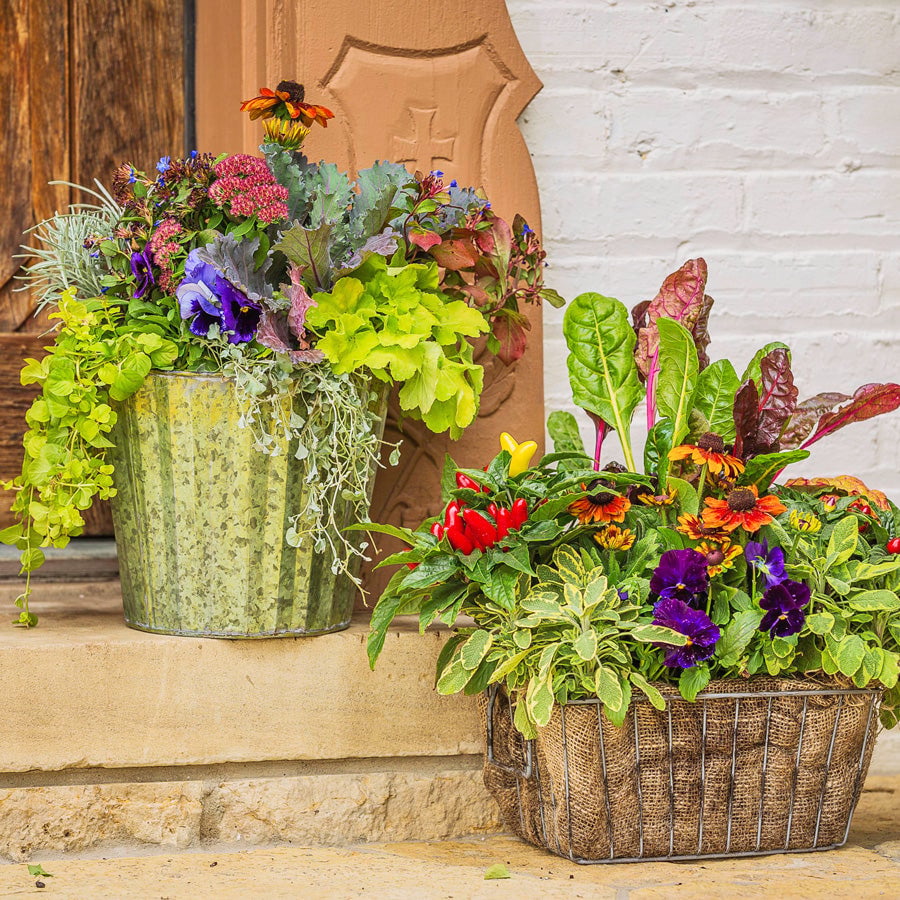 Fall favorite planter ideas