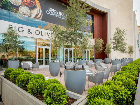 Transform Your Outdoor Space with Tall Planters: A Comprehensive Guide 7 Commercial properties with tall planters
