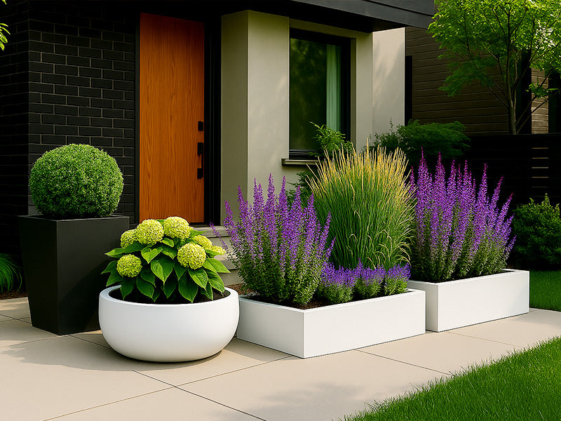 A stylish front entrance showcases a modern black brick exterior with a wooden front door, framed by clean-lined black planters. A tall square planter holds a neatly trimmed topiary, while a round bowl planter displays bright green hydrangeas. Nearby, a raised garden bed bursts with purple salvia, ornamental grass, and lush greenery, adding vibrant color and texture to the entryway.