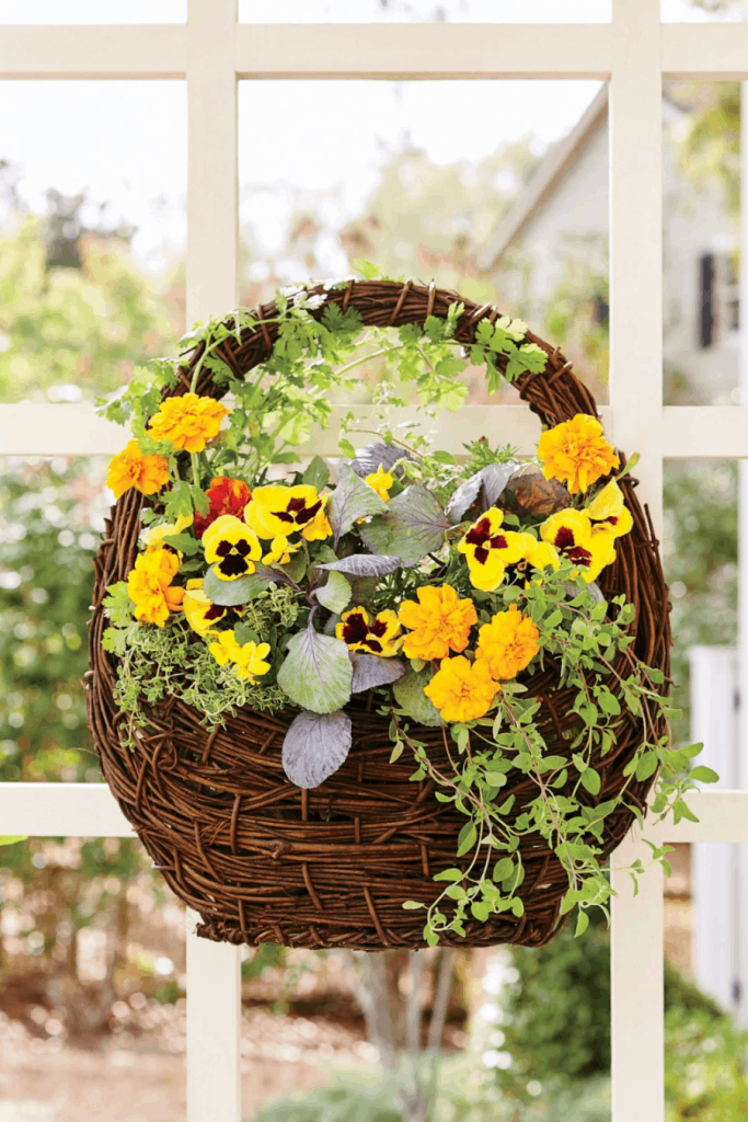 Hanging container gardens for fall