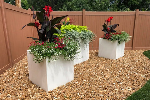 Creative plant arrangements in large planters