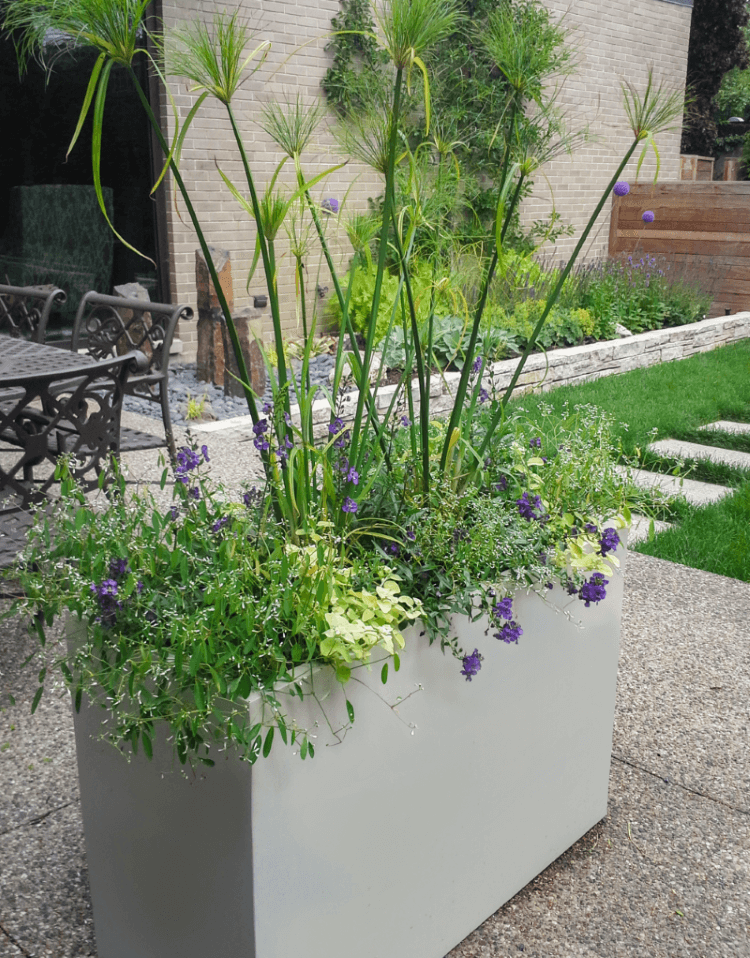 Planters with Matte Finish