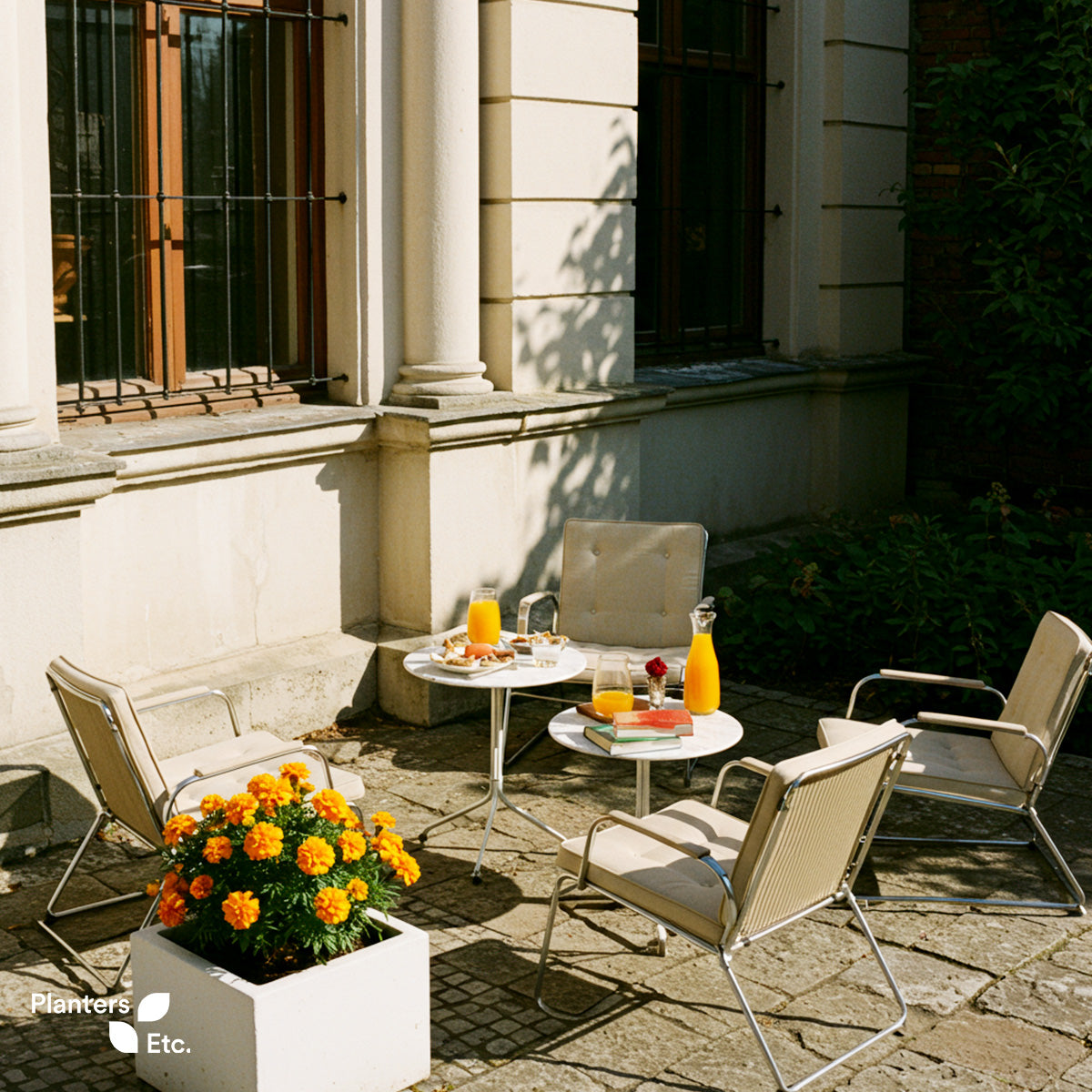 Charming patio with vintage-style chairs and marble-topped tables set for brunch, accented by a white square planter bursting with vibrant marigolds in the foreground.