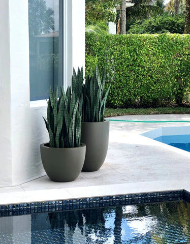 Crafting an Oasis: The Definitive Guide to Infusing Modern Garden Planters into Your Green Sanctuary 3 Multiplanters