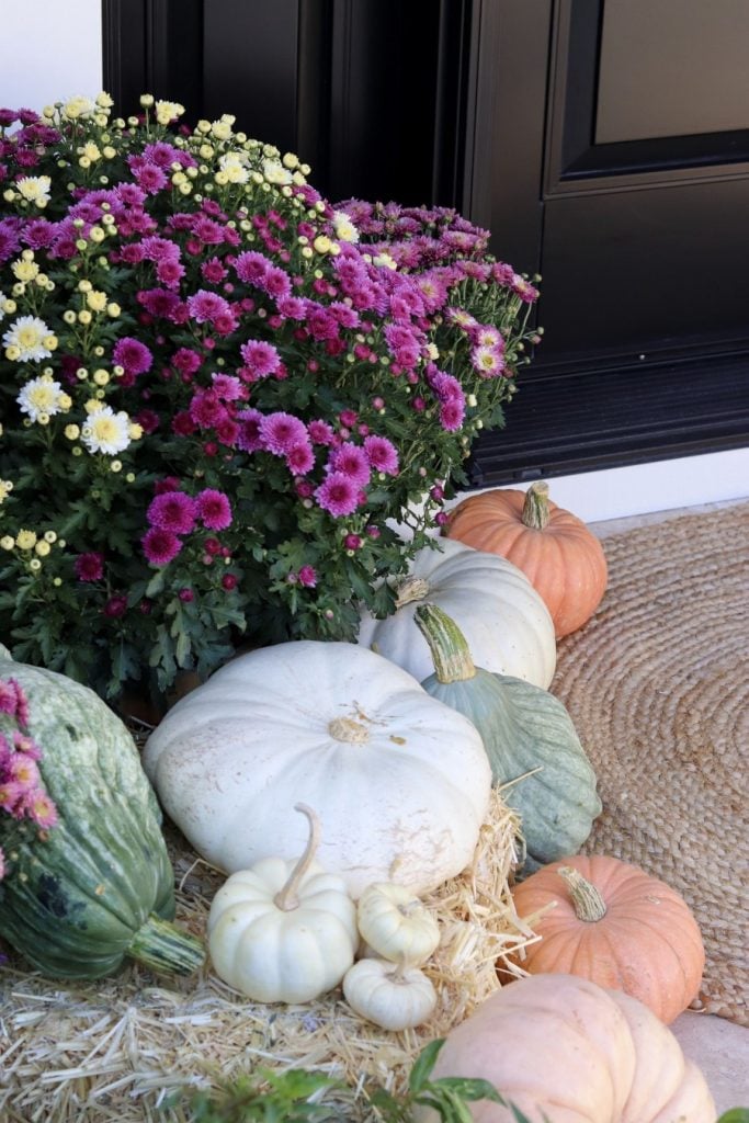One drop of pumpkin spice fall planter idea
