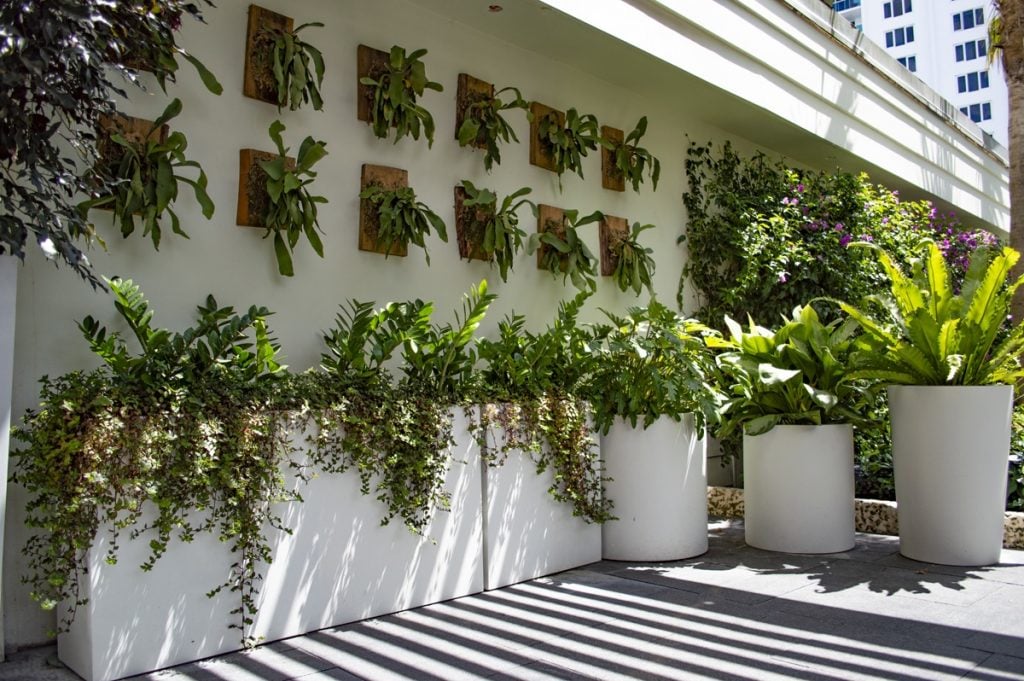 How to Get Rid of Thrips on Houseplants: Tricks, Tips, And Prevention 16 Stylish planters from Planters Etcetera