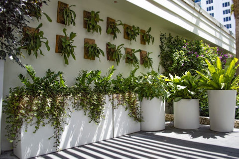 Secluded Serenity: Elevate Your Haven with Tall Privacy Planters 3 Pego Rio 2019 The Gates