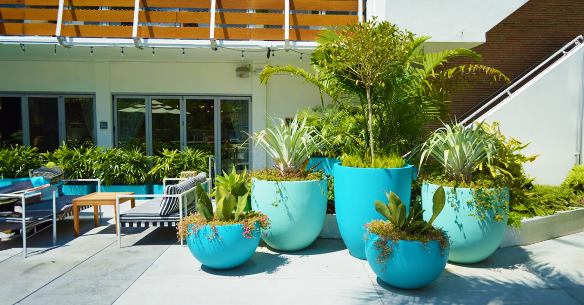 15 Best Plants For A Windowless Office | Health & Wellbeing At Work