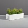 Plantguy00496
