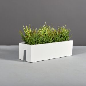 Plantguy00496