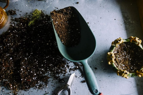 Planters Etc Planting Guide: 10 Helpful Tips and Planting Resources 3 Gardening scoop and soil