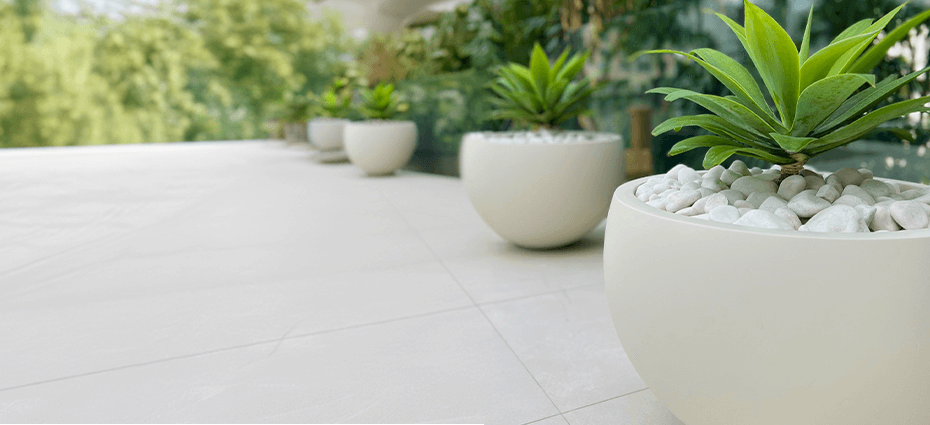 Various planters with different plants