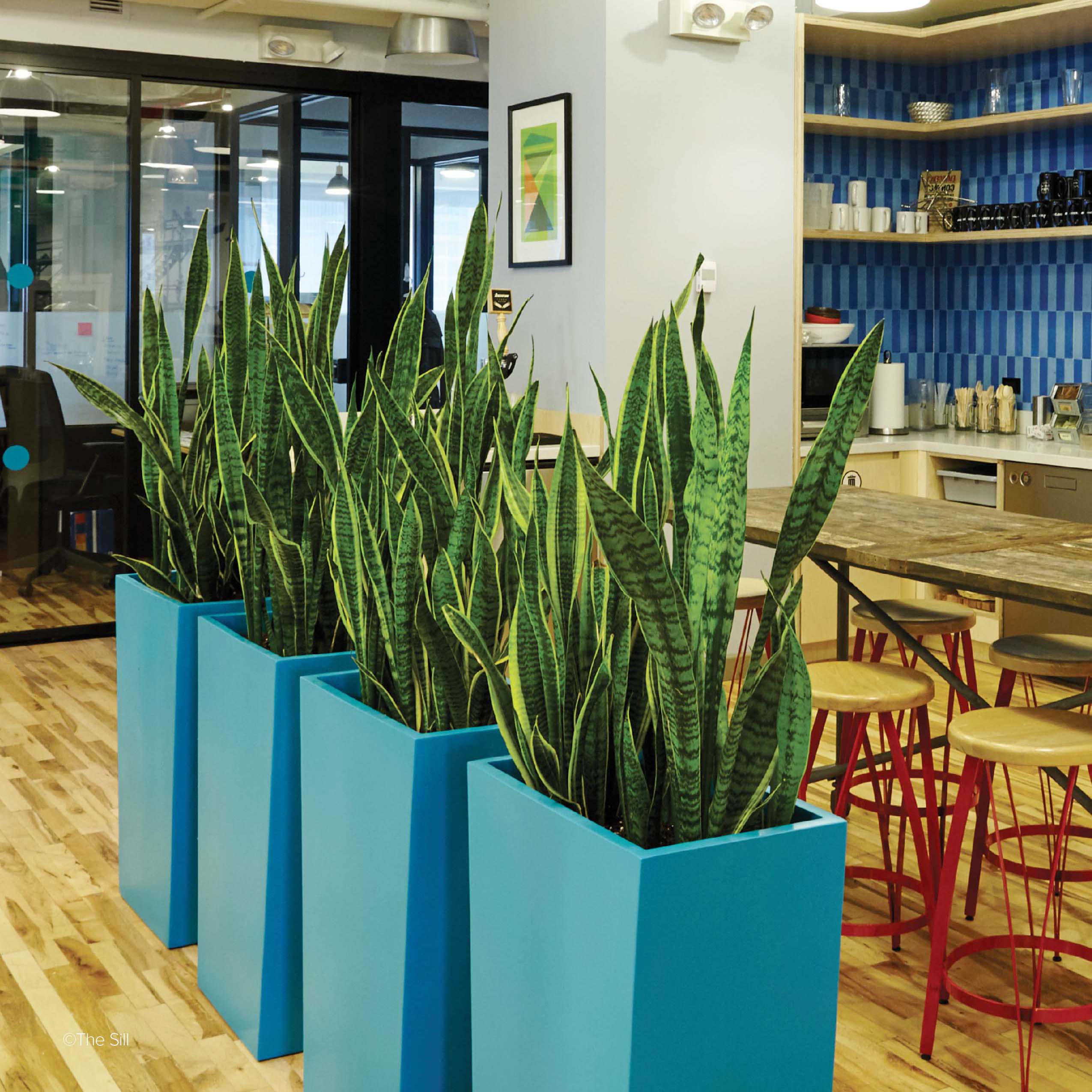 Planters with Satin Finish