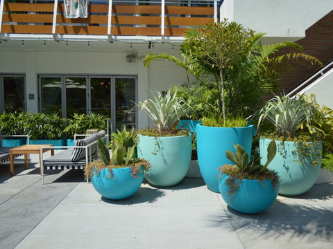 Crafting an Oasis: The Definitive Guide to Infusing Modern Garden Planters into Your Green Sanctuary 6 The Gates South Beach