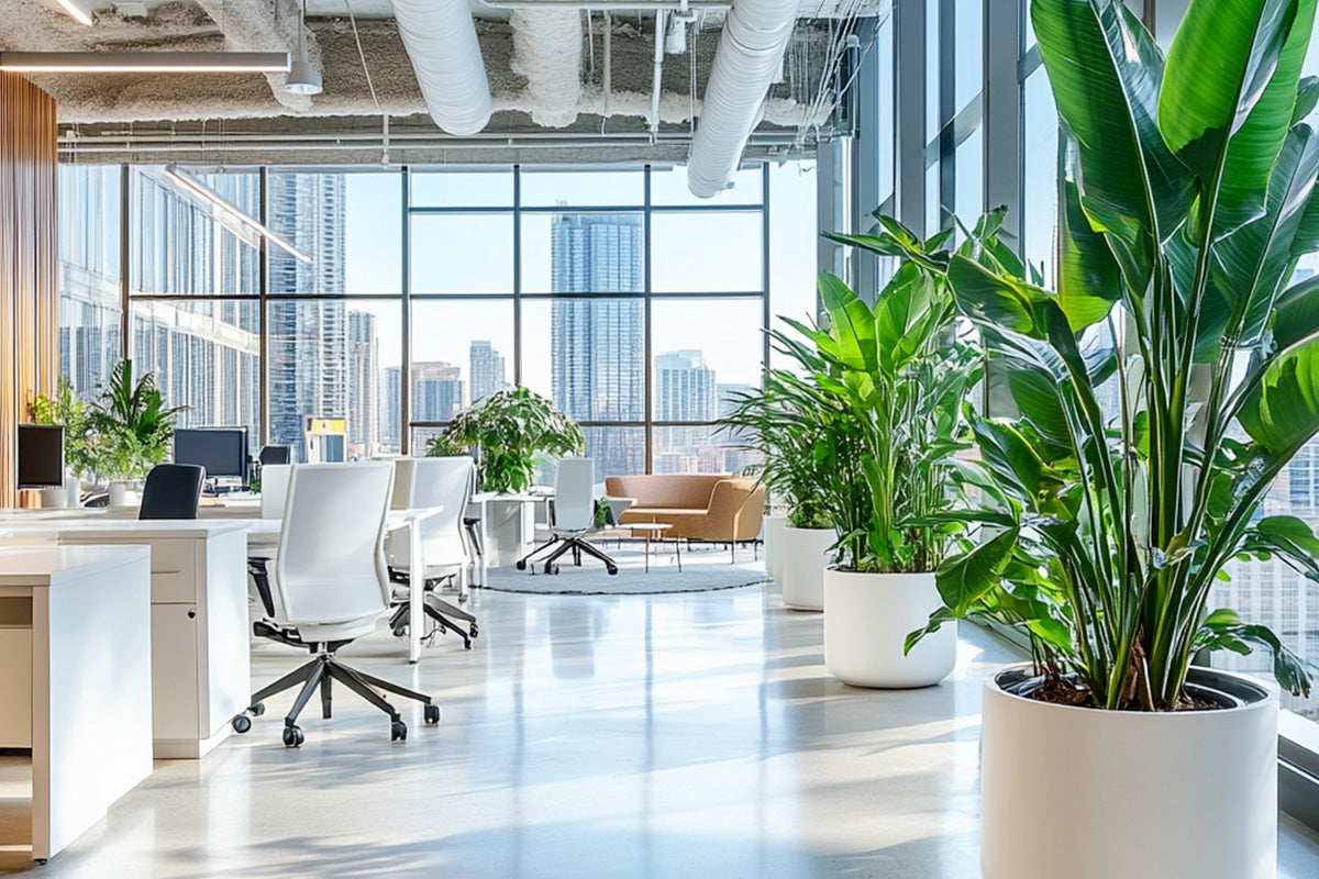 The Best Office Planters for a Productive and Stylish Workspace