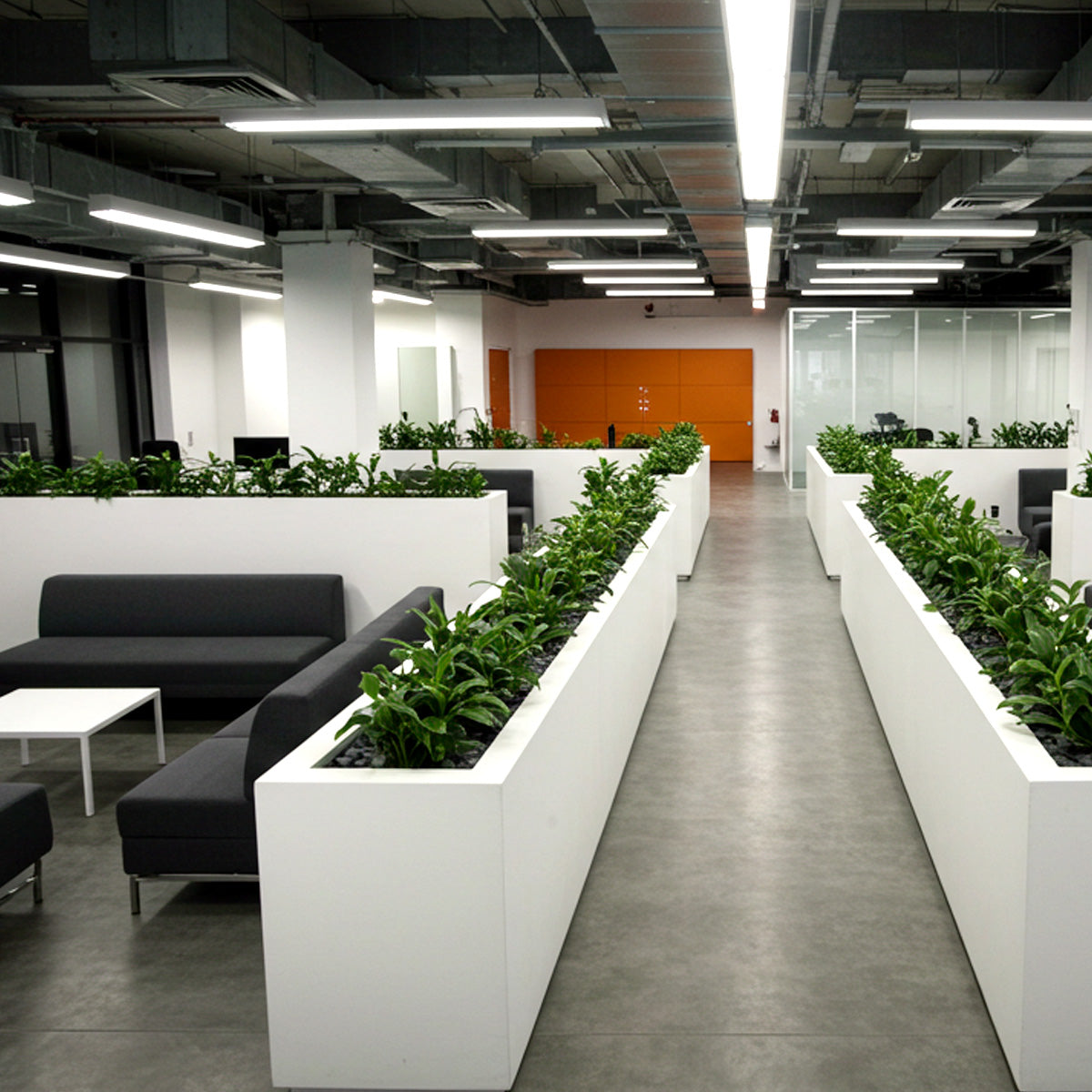 Modern office interior with sleek white rectangular planters used as green dividers between lounge seating areas and workspaces.