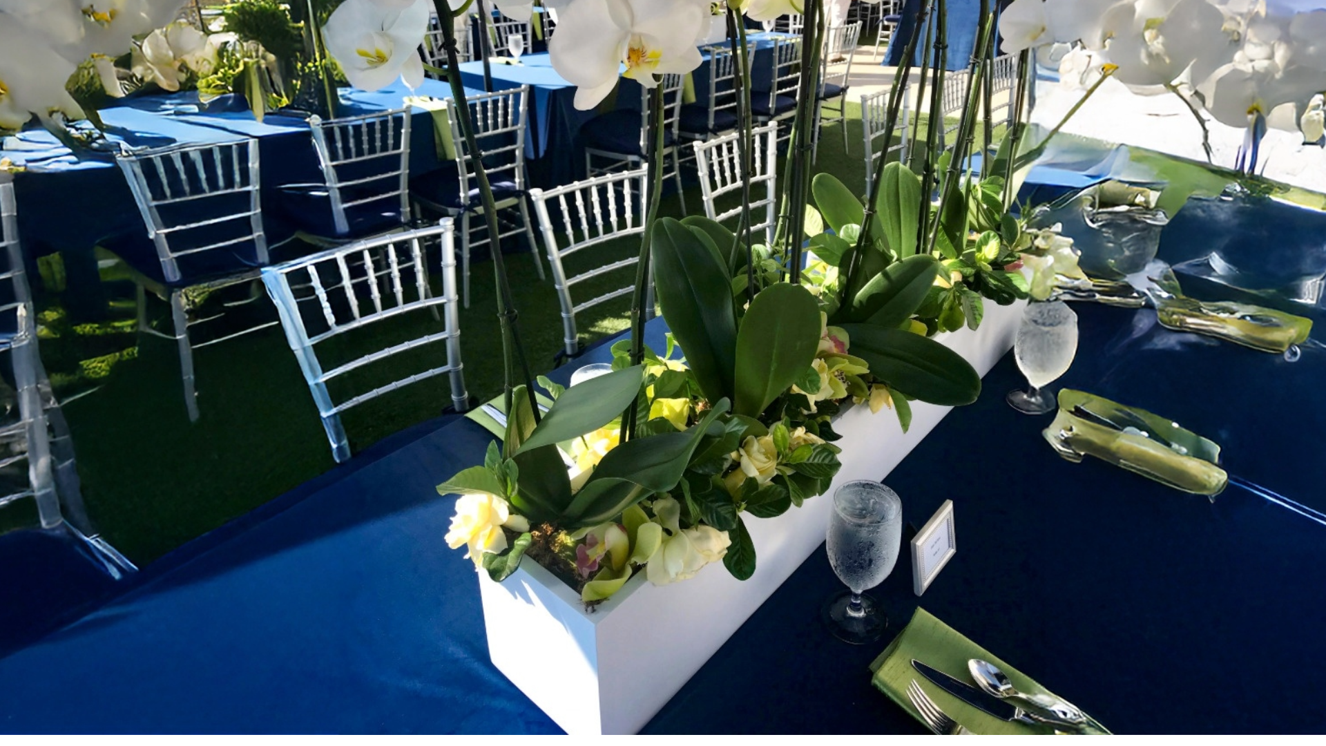 Creative Summer Wedding Planters: Sustainable Ideas for Elegant Outdoor Ceremonies 1 Untitled 1 8b319b2b 84e1 4fba bca6 ce3aeecccd89