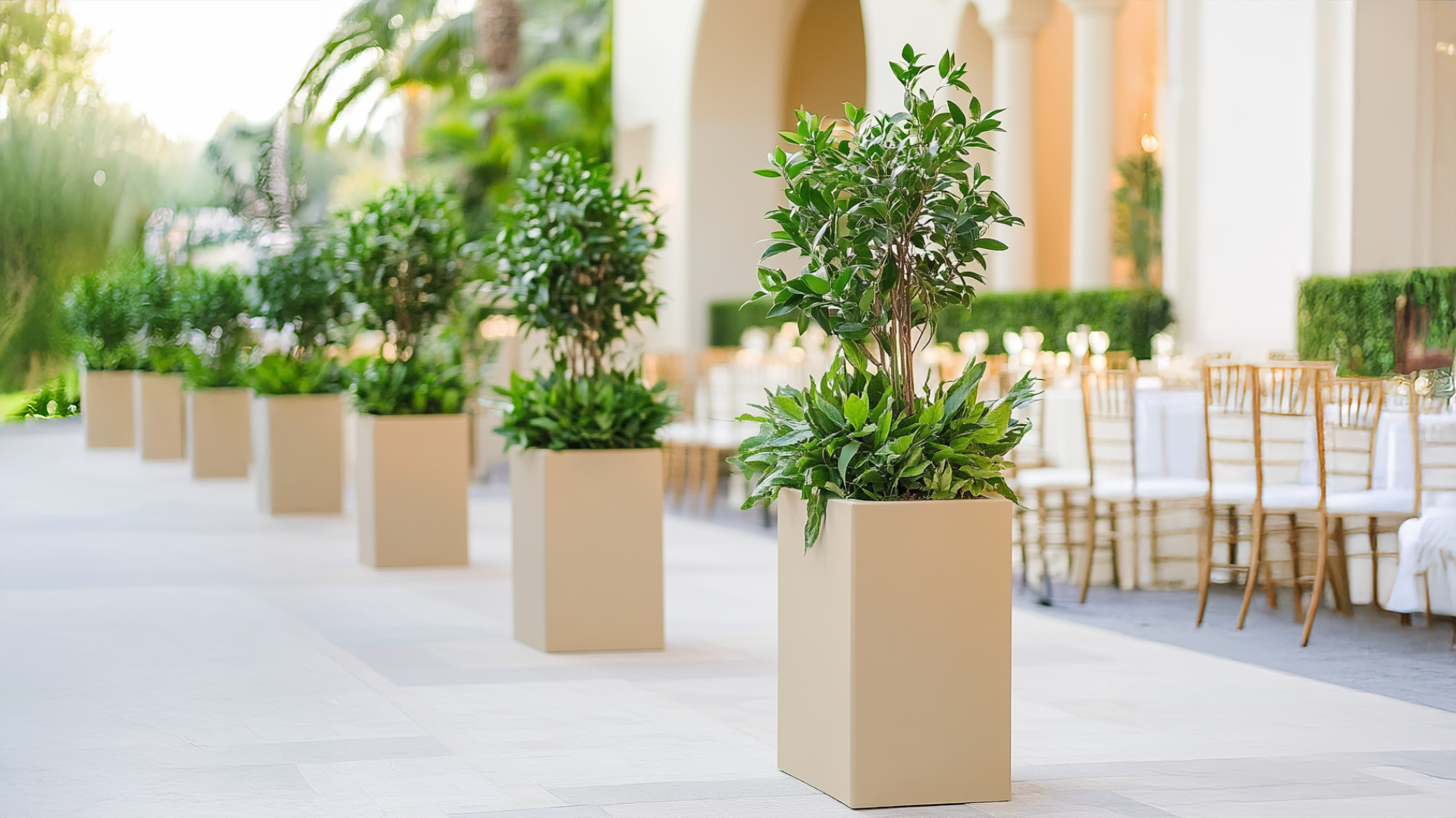 Creative Summer Wedding Planters: Sustainable Ideas for Elegant Outdoor Ceremonies 8 Untitled 2 e34e9d31 daf6 4f8a bd45 ac156a135e30