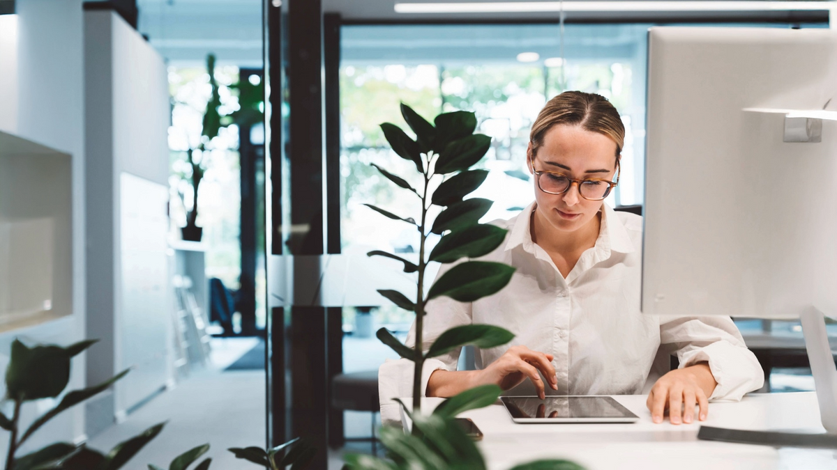 Best Home Office Plants and Planters: Boost Focus, Style & Air Quality