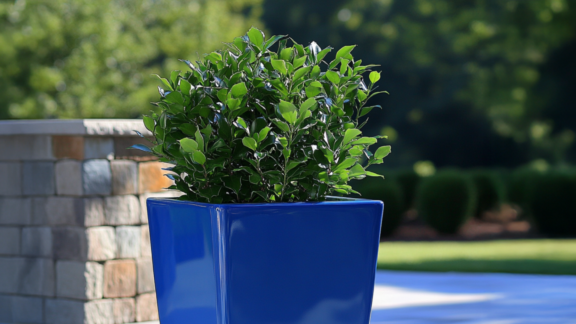 Evergreen Planters for Year-Round Greenery | Fiberglass Container Gardening 5 Untitled 6
