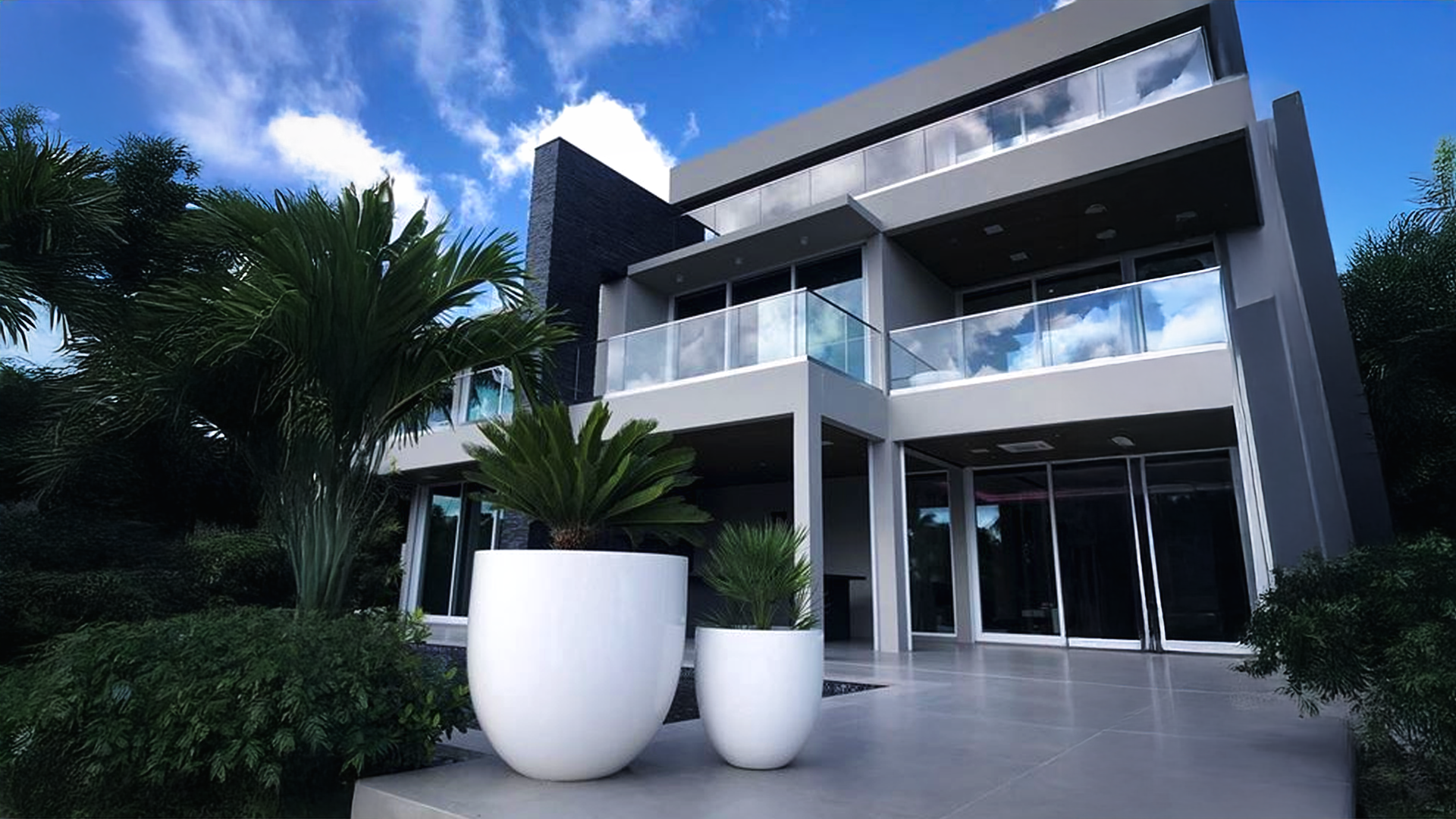 10 Best Indoor Flowering Plants That Bloom All Year 11 A beautiful living room featuring several stylish Planters Etc. fiberglass planters.