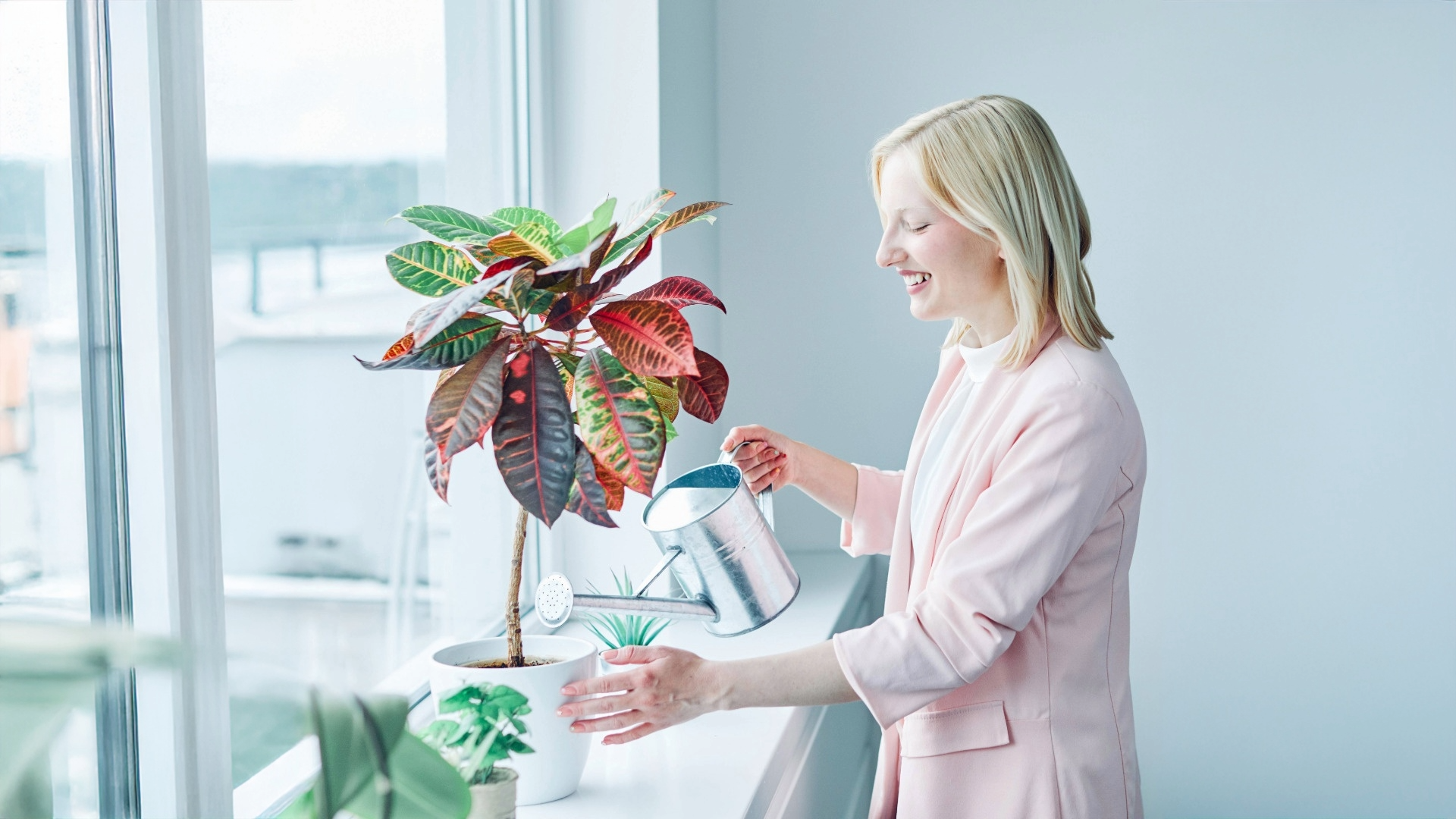 Best Home Office Plants and Planters: Boost Focus, Style & Air Quality 2 Untitled 6 b696ce49 00b2 4713 90be 72a971748ca8