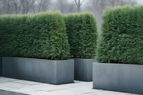 Planters used to define outdoor spaces