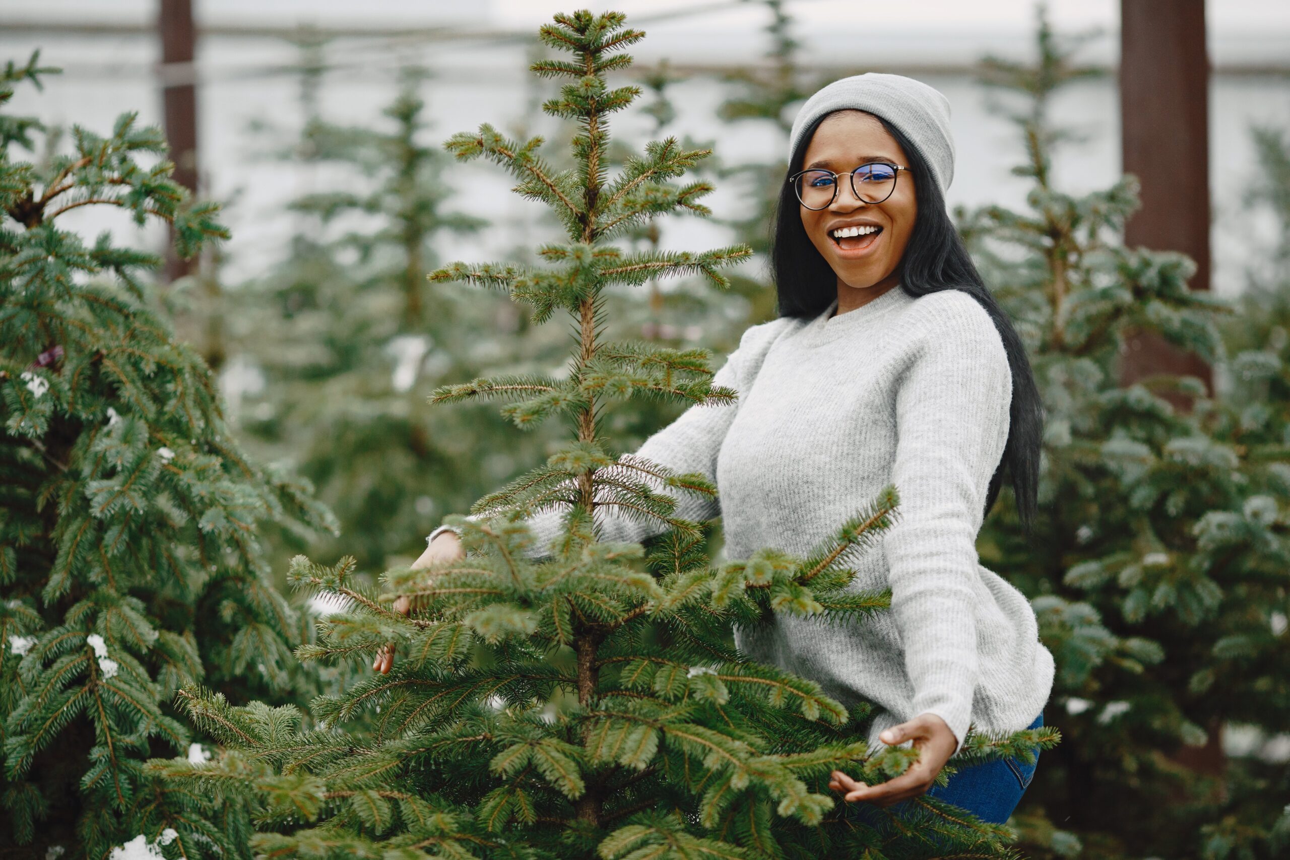 Year-Round Wildlife Support: Smart Choices To Attract Living Things 5 african woman choosing a christmas tree 2024 12 06 17 23 03 utc scaled