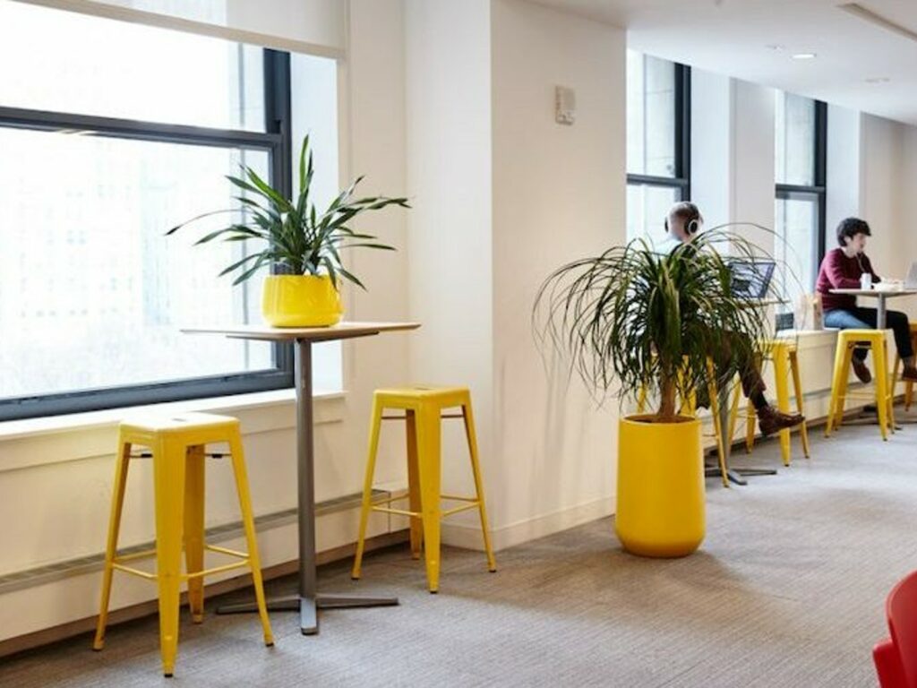 Indoor Oasis Unveiled: Discover Inspiring Ideas for Indoor Planters 5 The Sill / Jay Scotts