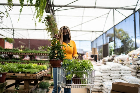 Planters Etc Planting Guide: 10 Helpful Tips and Planting Resources 11 Customer buying plants in garden shop