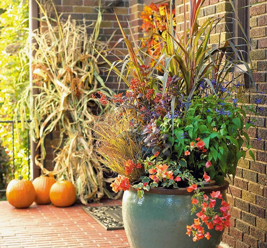 Fall containers with ornamental grasses