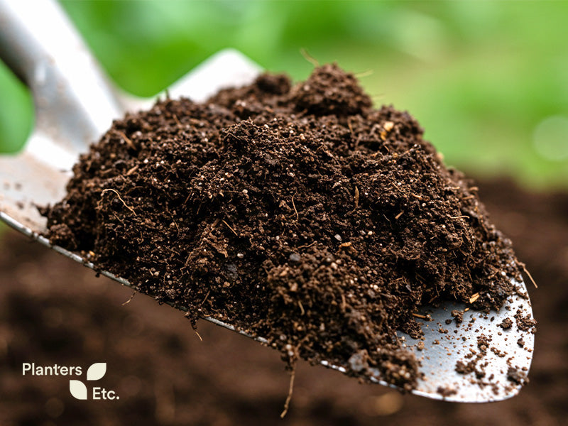 How to Choose the Right Soils for Indoor & Outdoor Planters | Comprehensive Guide