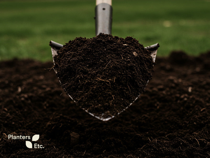 garden soil v2