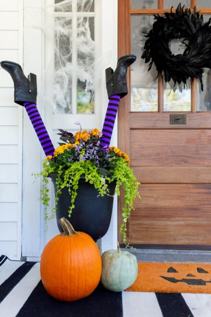 Creative idea for fall season planter