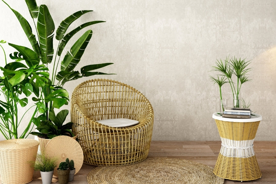25 Best Small Plants For Home And Apartments 1 indoor plants for home 1