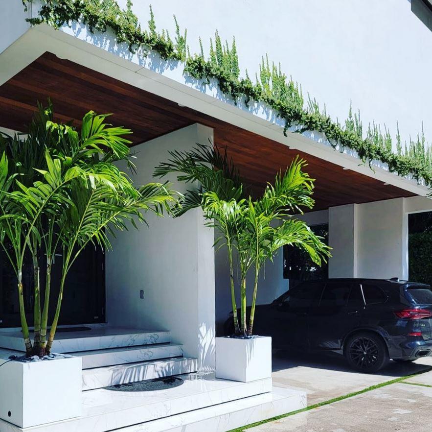 montroy cube palms tpg