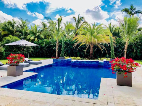 Crafting an Oasis: The Definitive Guide to Infusing Modern Garden Planters into Your Green Sanctuary 1 montroy5