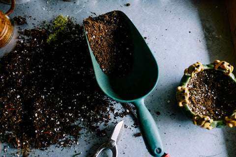 Guide to Filling Large Planters: Best Practices, Drainage, and Maintenance 2 Choosing the right soil for planters