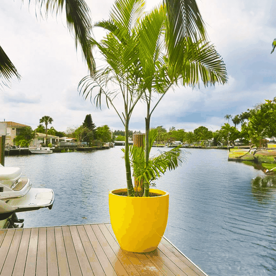 Zola Properties 4 plantersetc 1 1