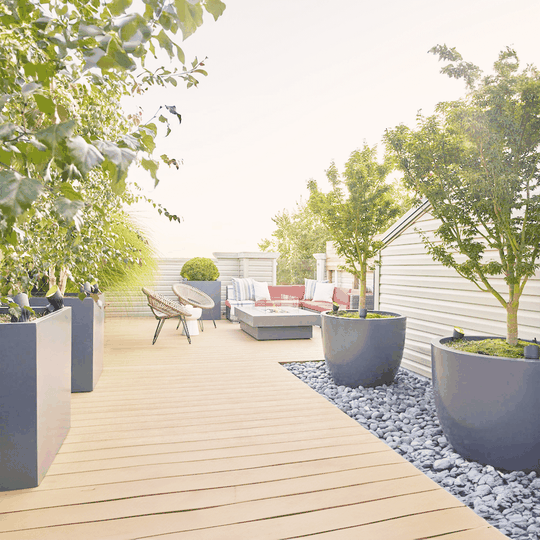Zola Properties 3 plantersetc 8 1