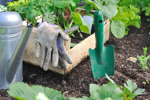 Planters Etc Planting Guide: 10 Helpful Tips and Planting Resources 12 Shovel in the soil with vegetable plant in pot for planting