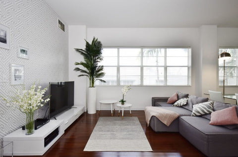 Various planters enhancing home decor