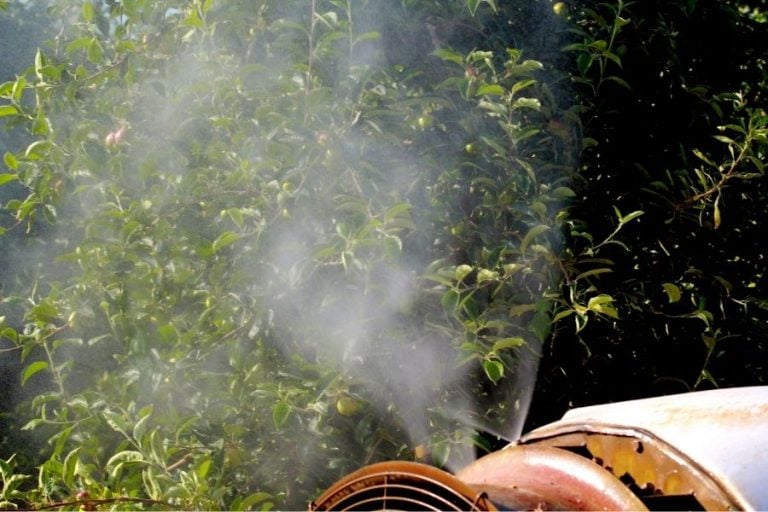 How to Get Rid of Thrips on Houseplants: Tricks, Tips, And Prevention 13 Air blast sprayer with chemical insecticide in the orchard