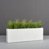 69213.54.MBW_.Camoux.wplants-2 69213.54.MBW .Camoux.wplants 2