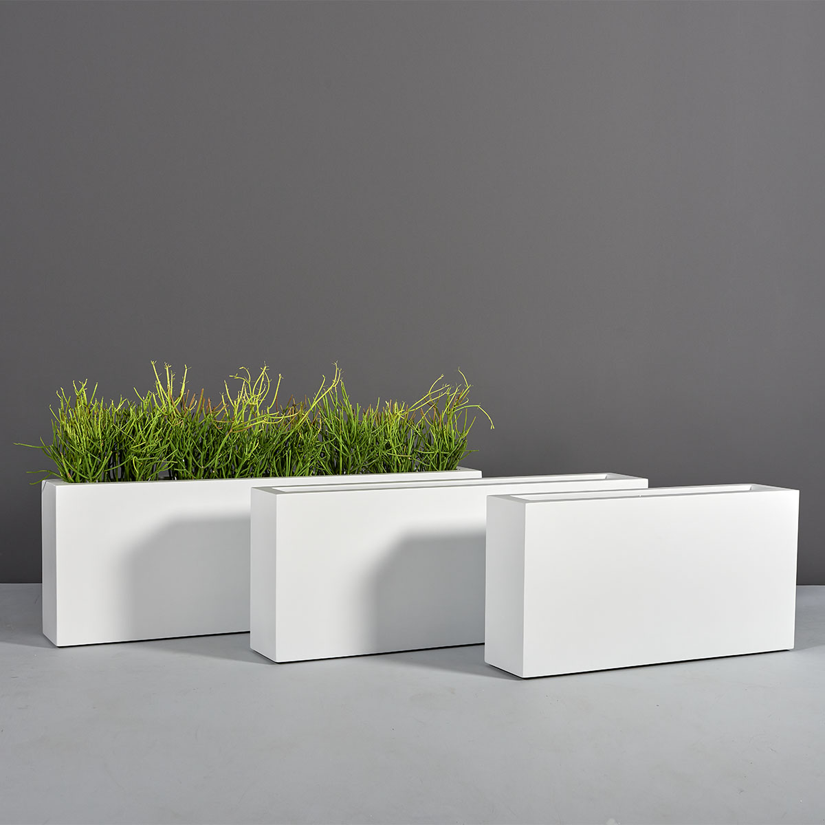 69213.Set_.MBW_.Camoux.wplants-1 69213.Set .MBW .Camoux.wplants 1
